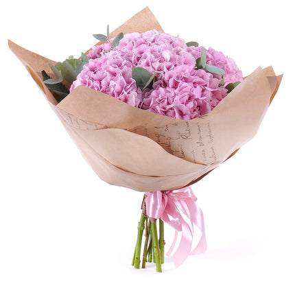 03001642_sweet-ruzove-hortenzie