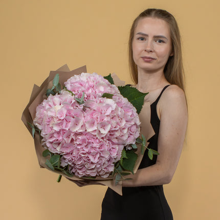 03001642_sweet-ruzove-hortenzie