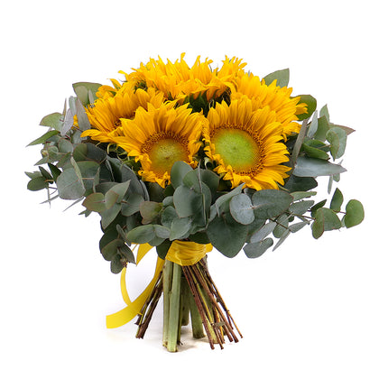 03001678_sweet-slnecnice-a-eukalyptus