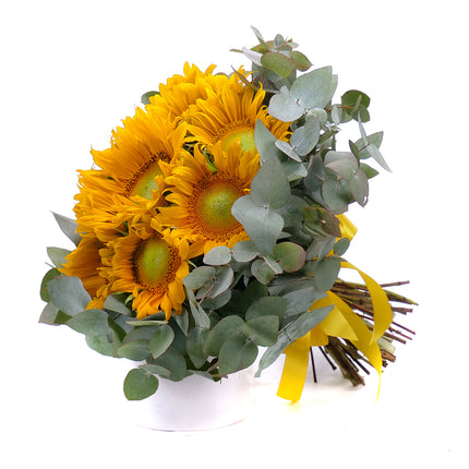 03001678_sweet-slnecnice-a-eukalyptus