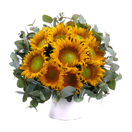 03001678_sweet-slnecnice-a-eukalyptus