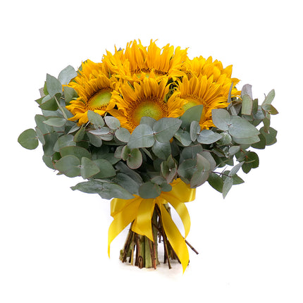 03001678_sweet-slnecnice-a-eukalyptus