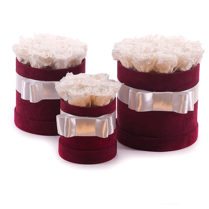 03001711_trio-in-eterno-bordovych-zamatovych-okruhlych-boxov-biele-ruze