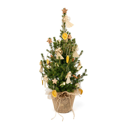 03001778_zivy-vianocny-stromcek-ozdobeny-prirodnymi-doplnkami