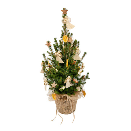 03001778_zivy-vianocny-stromcek-ozdobeny-prirodnymi-doplnkami