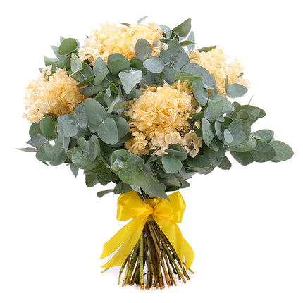 03001811_kytica-eukalyptus-in-eterno-zlta-hortenzia