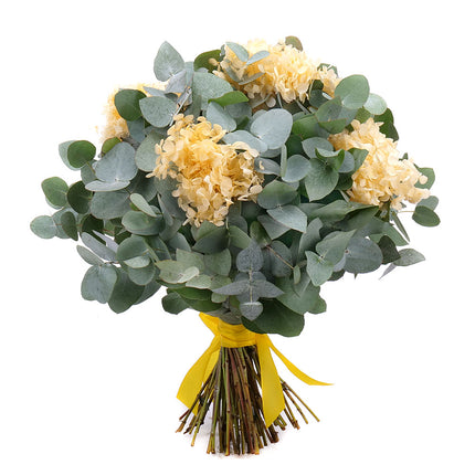 03001811_kytica-eukalyptus-in-eterno-zlta-hortenzia