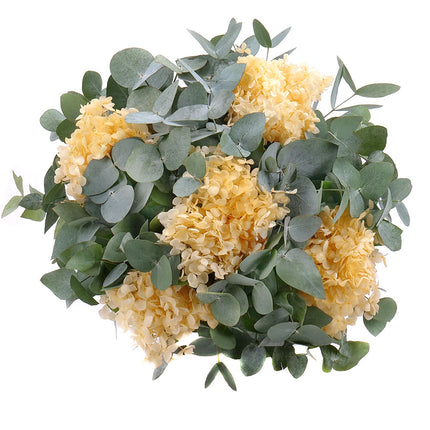 03001811_kytica-eukalyptus-in-eterno-zlta-hortenzia