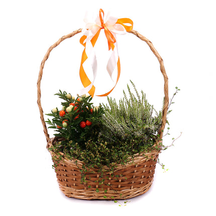 03001821_prirodny-aranzman-v-prutenom-kosiku-5