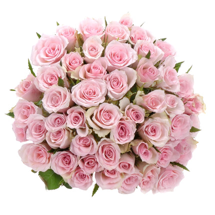03001862_kytica-ruzove-ruze-pink-atena