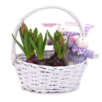 03001865_hyacinty-v-prutenom-kosiku-s-dekoraciou