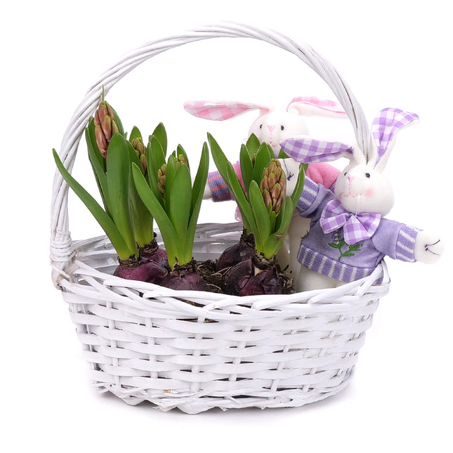 03001865_hyacinty-v-prutenom-kosiku-s-dekoraciou