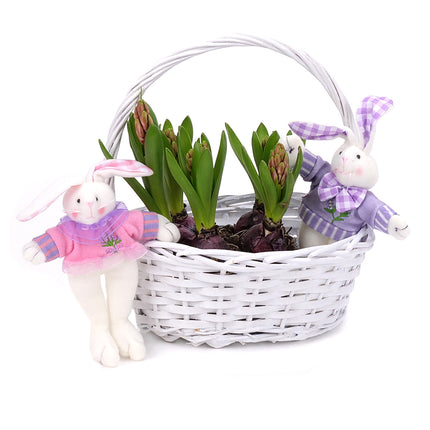 03001865_hyacinty-v-prutenom-kosiku-s-dekoraciou