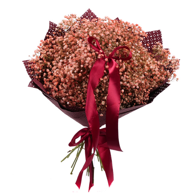 03001867_nature-kytica-gypsophila-marhulova