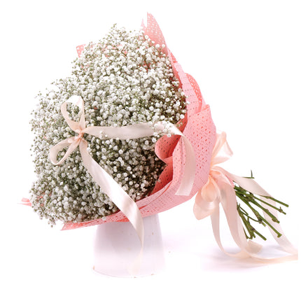 03001868_nature-kytica-gypsophila-biela