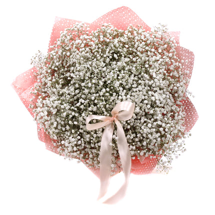 03001868_nature-kytica-gypsophila-biela