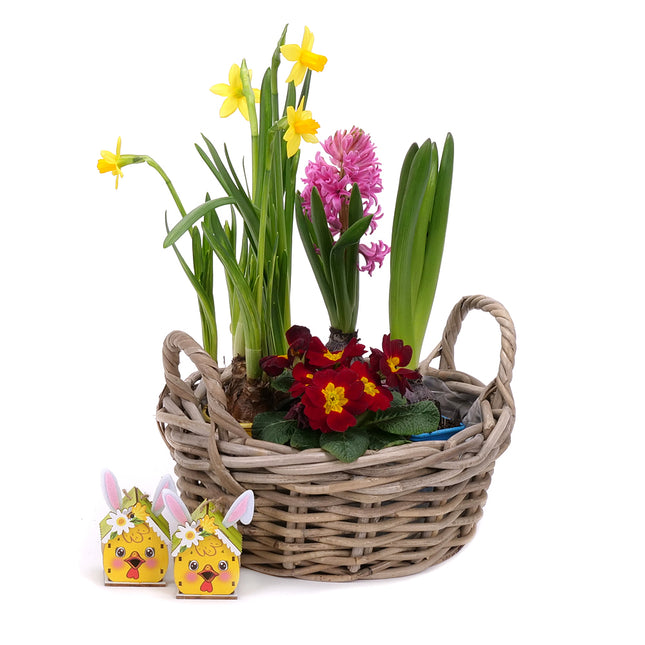 03001870_darcekovy-jarny-set-9