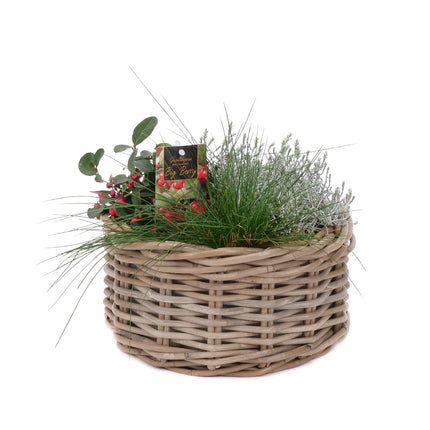 03001872_mix-rastlin-v-prutenom-kosiku