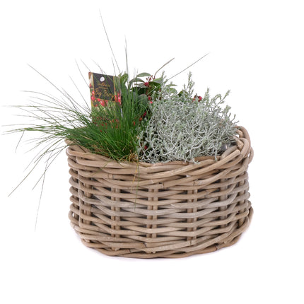03001872_mix-rastlin-v-prutenom-kosiku