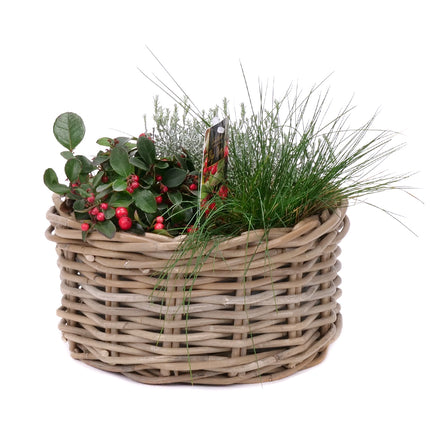 03001872_mix-rastlin-v-prutenom-kosiku