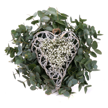 03001873_nature-kytica-eukalyptus-prutene-srdce