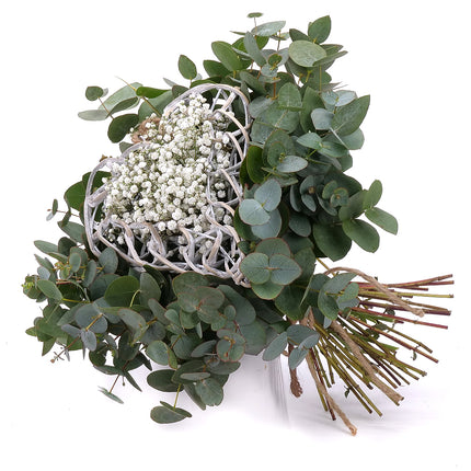 03001873_nature-kytica-eukalyptus-prutene-srdce