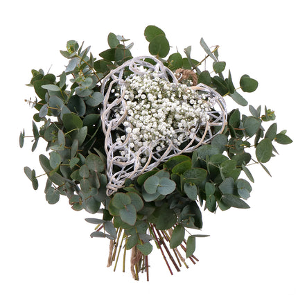 03001873_nature-kytica-eukalyptus-prutene-srdce