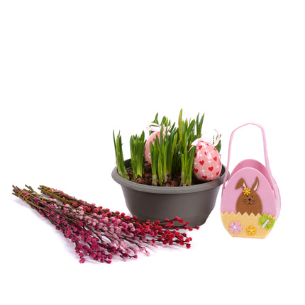 03001904_darcekovy-set-narcisy-salix-a-velkonocna-taska