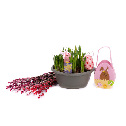 03001904_darcekovy-set-narcisy-salix-a-velkonocna-taska