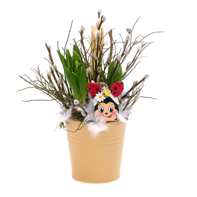 03001928_hyacinty-v-plechovom-obale-salix-a-dreveny-domcek