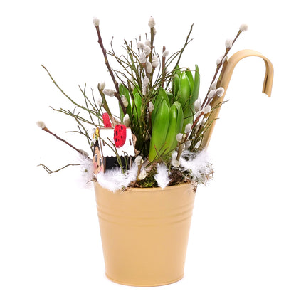03001928_hyacinty-v-plechovom-obale-salix-a-dreveny-domcek