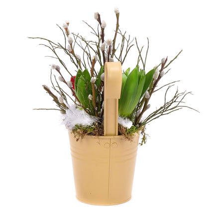 03001928_hyacinty-v-plechovom-obale-salix-a-dreveny-domcek