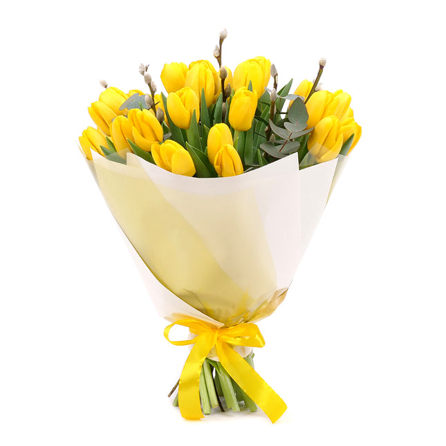 03001930_sweet-zlte-tulipany-mdz