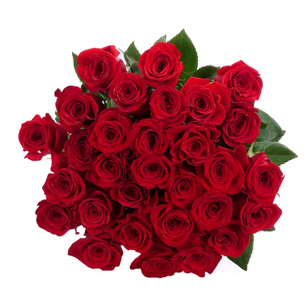 03001941_amore-cervene-ruze-30