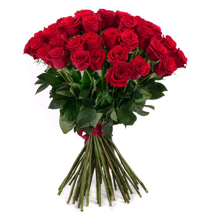 03001942_amore-cervene-ruze-40