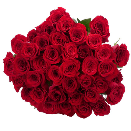 03001942_amore-cervene-ruze-40