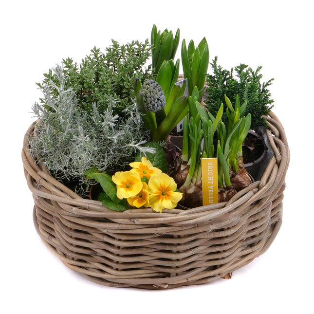 03001946_darcekovy-jarny-set-11