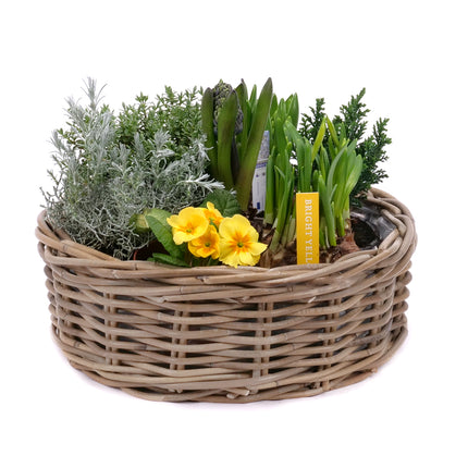 03001946_darcekovy-jarny-set-11