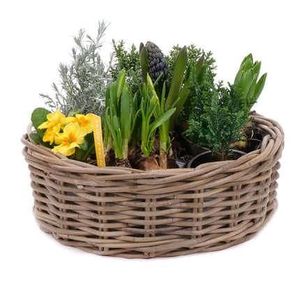 03001946_darcekovy-jarny-set-11