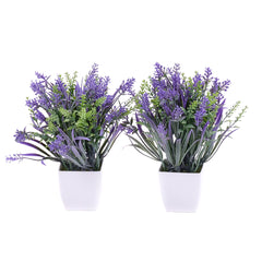 03001979_duo-umela-levandula-v-plastovom-obale