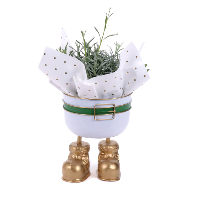03002009_levandula-v-kovovom-obale