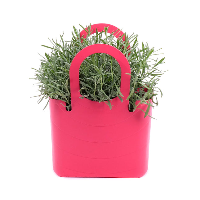 03002011_levandula-v-plastovej-taske-2