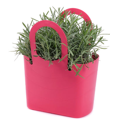 03002011_levandula-v-plastovej-taske-2