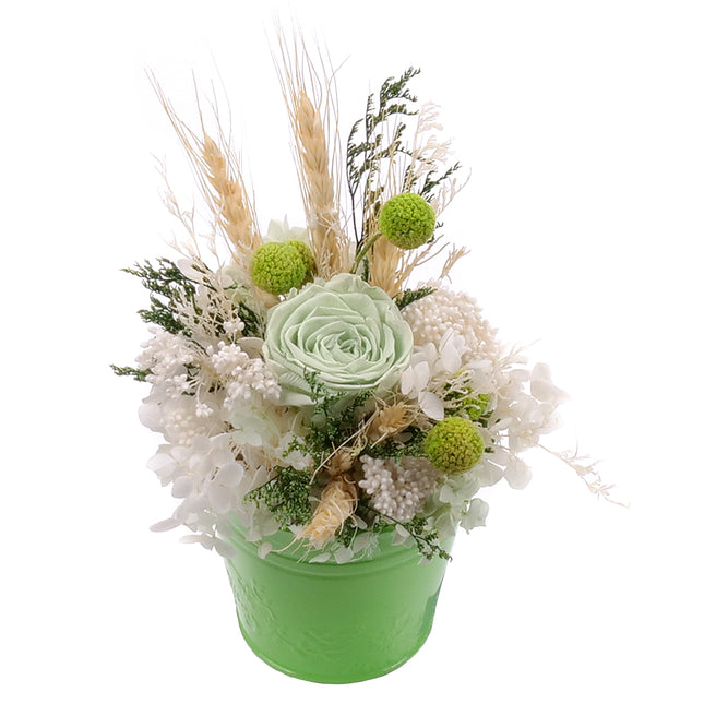 03002067_in-eterno-zelene-plechove-vedierko-monalisa-lime-green