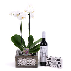 03002116_orchidea-v-drevenom-boxe-a-vino-berta
