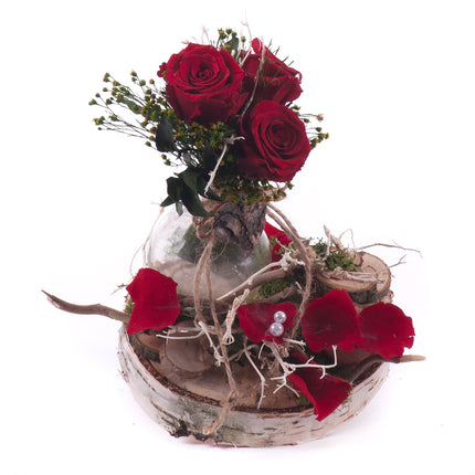 03100460_in-eterno-aranzman-na-dreve-cervene-ruze