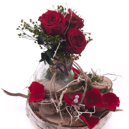 03100460_in-eterno-aranzman-na-dreve-cervene-ruze