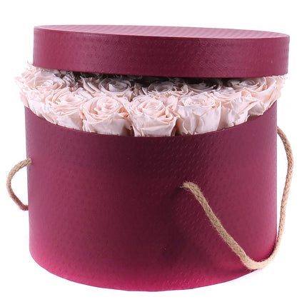 03100591_in-eterno-cerveny-zamatovy-box-s-biele-ruze