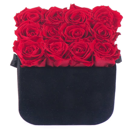 03100606_in-eterno-cierny-box-l-12-cervenych-ruzi