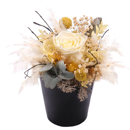 03100609_in-eterno-cierny-box-kremova-preparovana-ruza